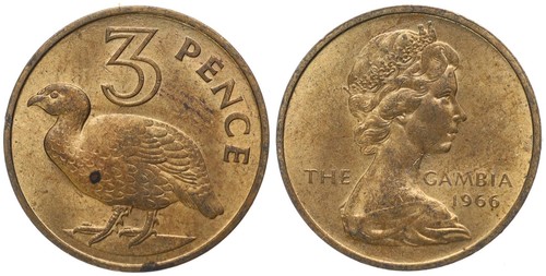 The gambia pence 1966 - gambia,