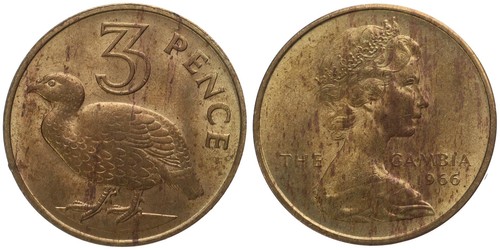 The gambia pence 1966 - 3,